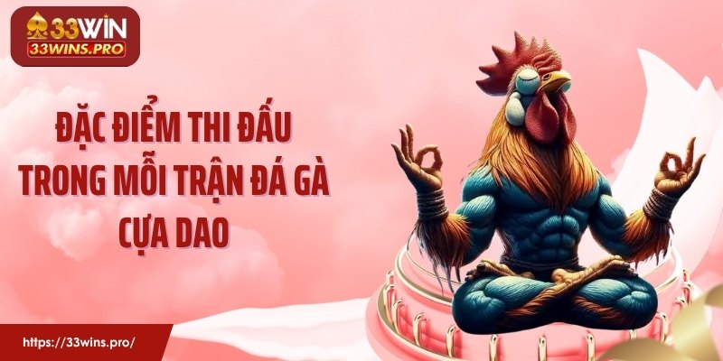 Đặc điểm thi đấu trong mỗi trận đá gà cựa dao
