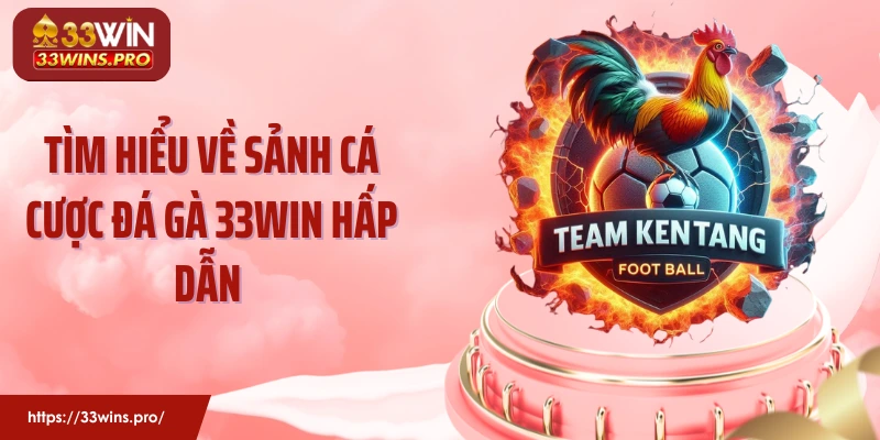 Tìm hiểu về sảnh cá cược đá gà 33Win hấp dẫn 